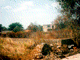kabrnja nakon osloboenja u Oluji - Slika 3